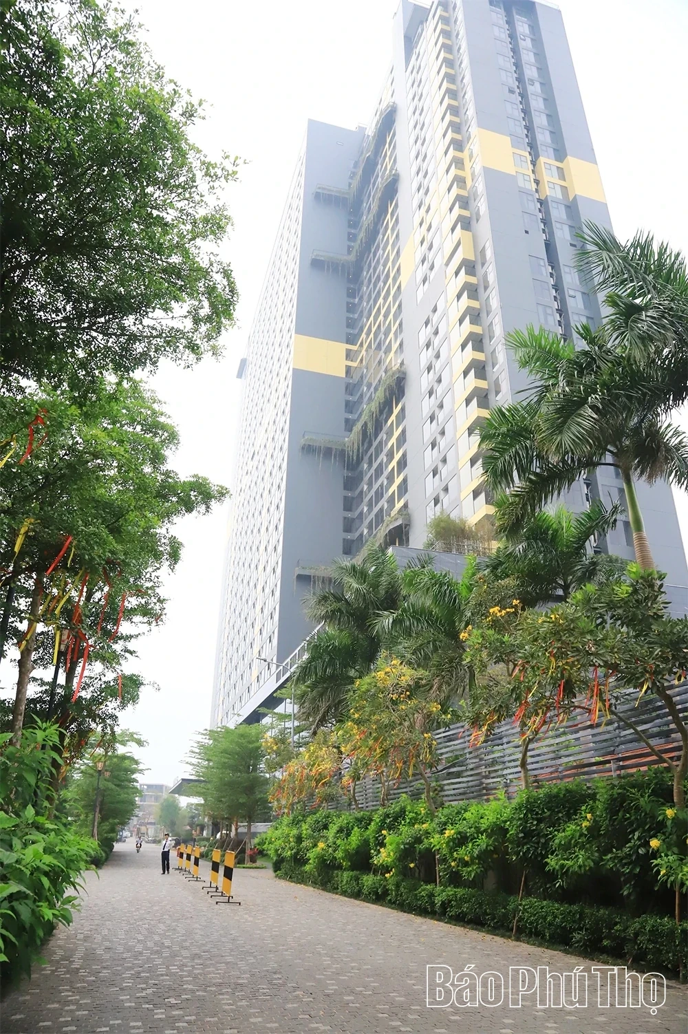 Awakening the Gold Mine of Thanh Thuy Hot Spring Wellness Tourism