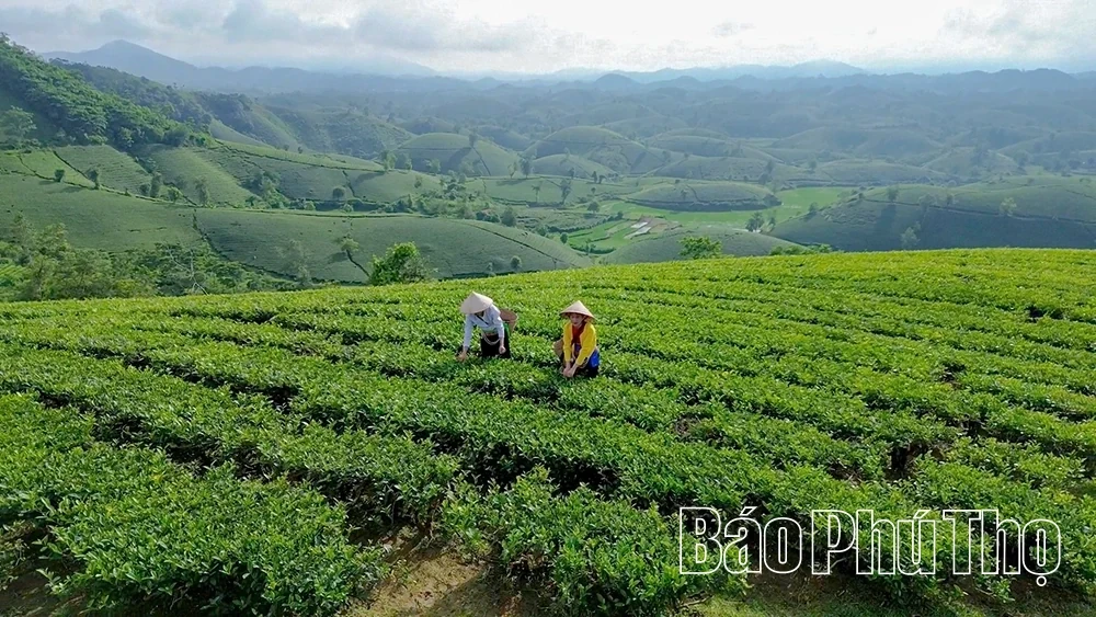 The Three-Legged Stool Strategy for Tourism Economic Growth