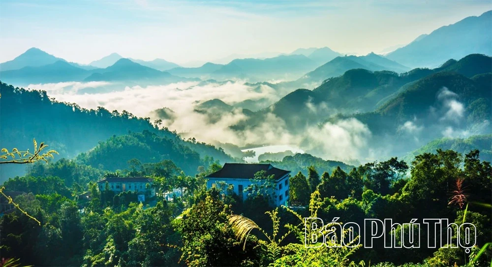 Green Growth: The Foundation for Sustainable Development