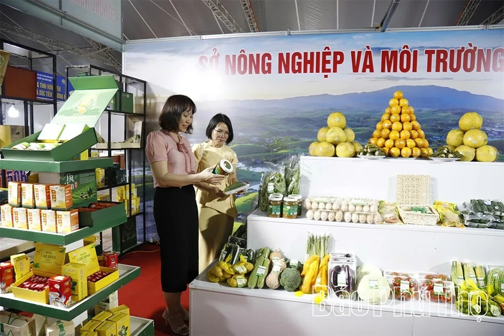 Hung Kings Commemoration – Ancestral Land Culture and Tourism Week: A Convergence of Vietnamese Cultural Essence