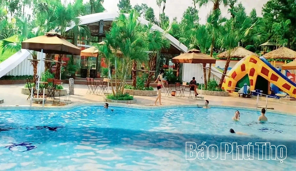 Ngoc Island: A Green Paradise in the Heart of the Lake