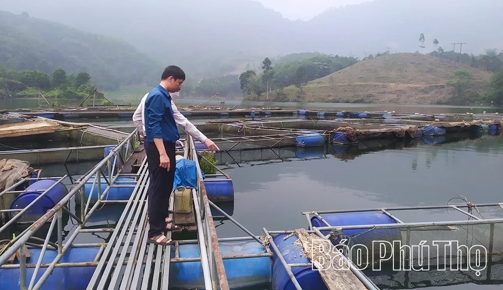 Towards Building a Distinctive Brand for Phu Tho Fisheries