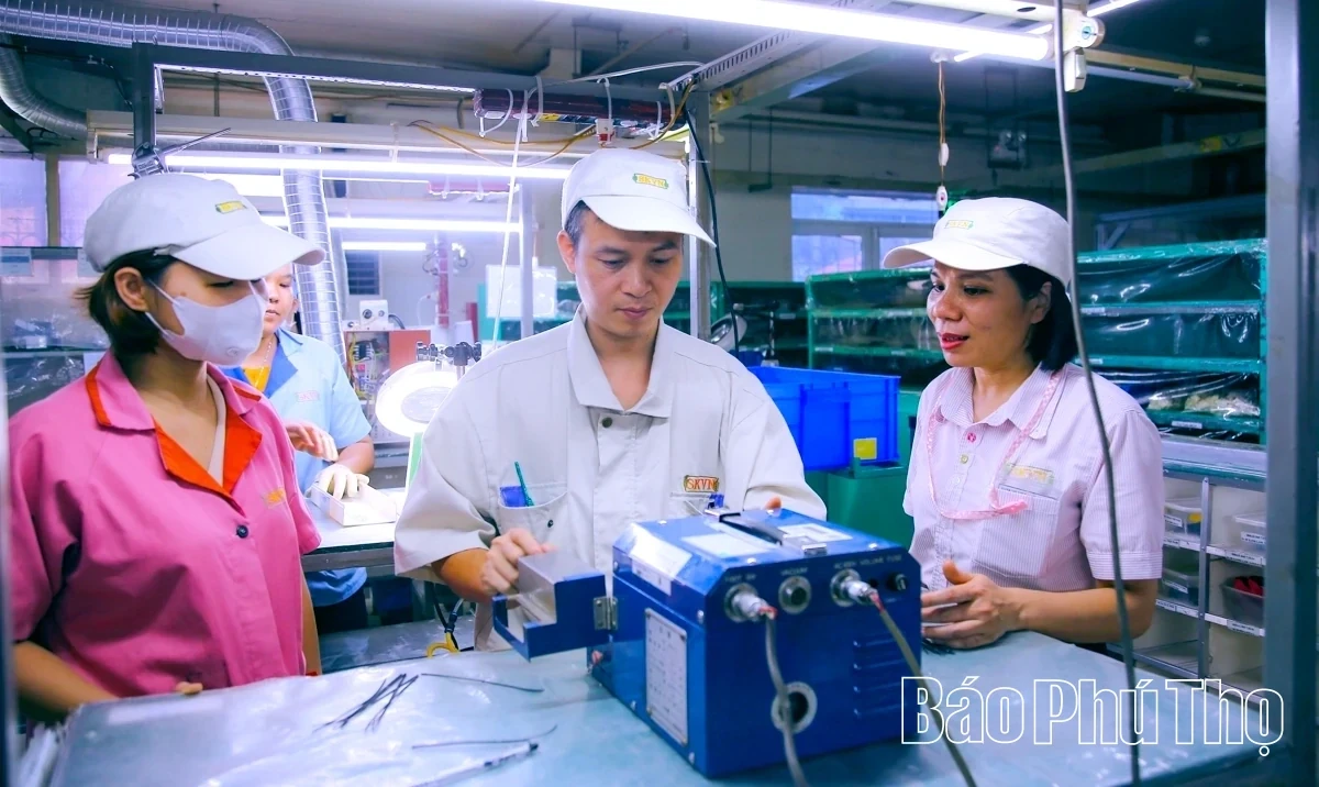 Da River Left Bank Industrial Park – A New Growth Engine