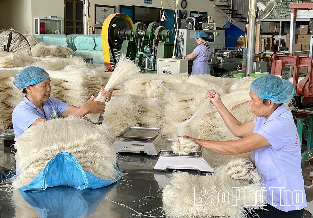 Enhancing the Quality of OCOP Products Post-Certification