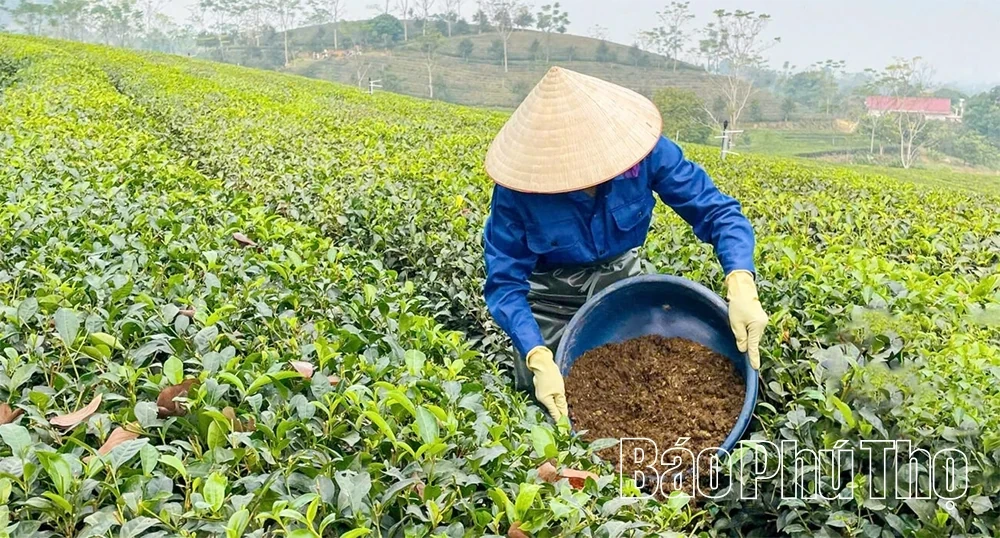 Enhancing the Quality of OCOP Products Post-Certification