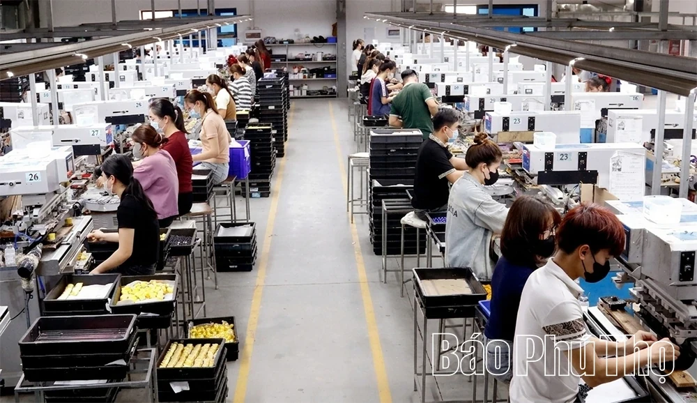 Phu Tho Enterprises: Anchoring Business Growth with Social Welfare