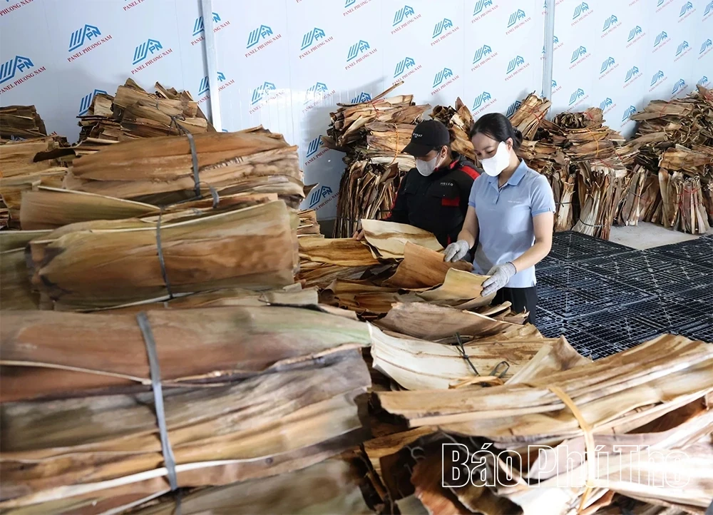 Eco-Friendly Products Crafted from Areca Palm Leaf Sheaths