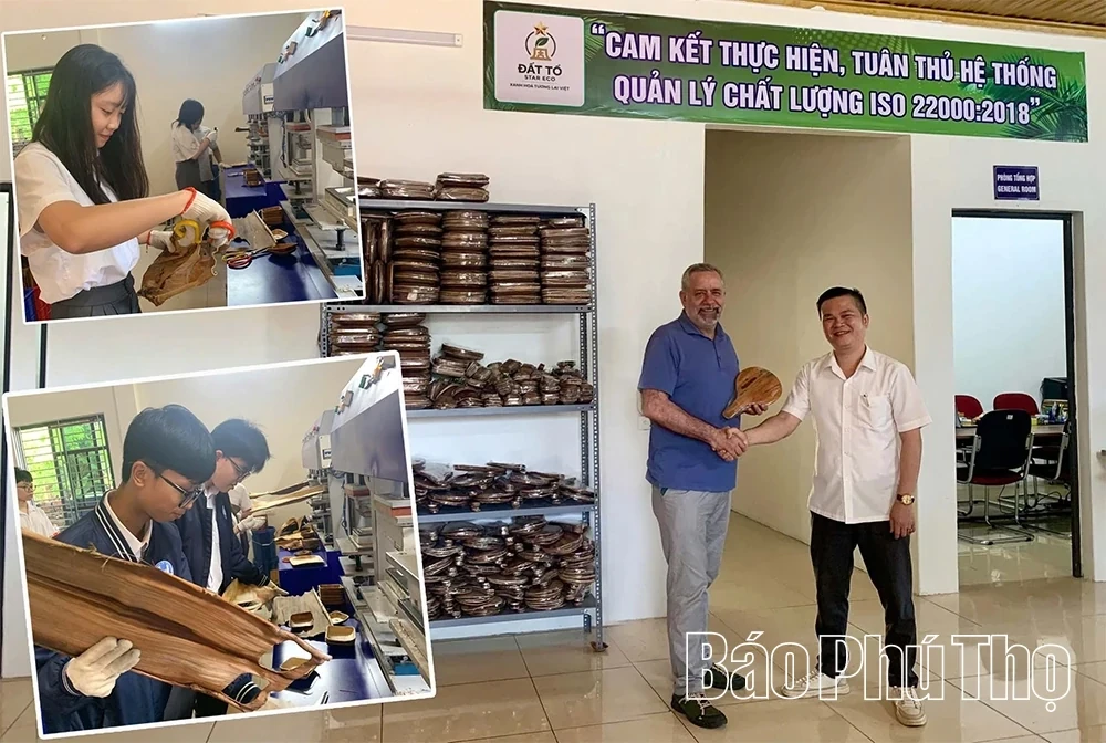 Eco-Friendly Products Crafted from Areca Palm Leaf Sheaths