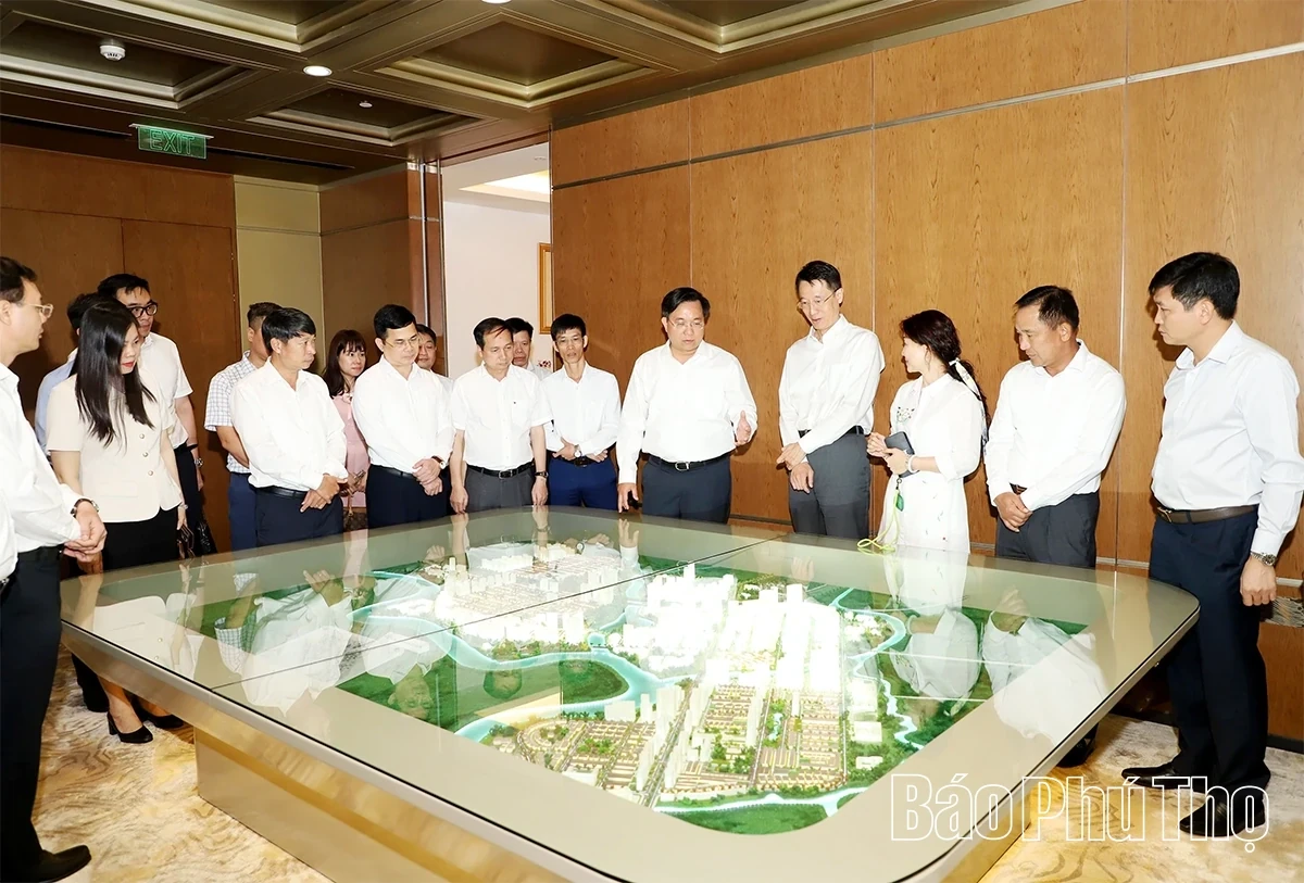 Chairman Tran Duy Dong Visits and Holds Working Session at Phu My Hung Urban Area