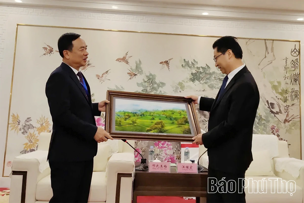 Phu Tho Provincial Delegation Visits and Holds Working Sessions in Bozhou City and Pacific Construction Group in Shanghai (China)