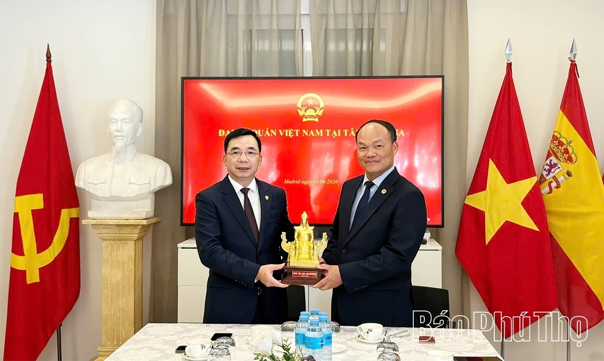 Phu Tho Provincial Delegation Visits and Holds Working Session with the Embassy of Vietnam in Spain