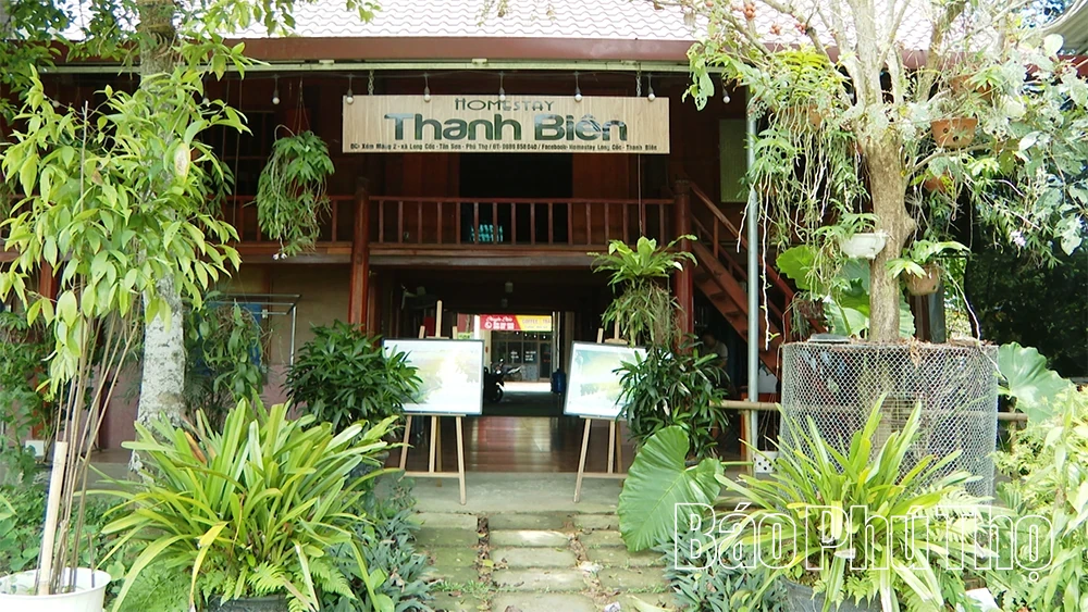 Long Coc Leverages Green Tea Portfolios to Fuel Sustainable Eco-Tourism