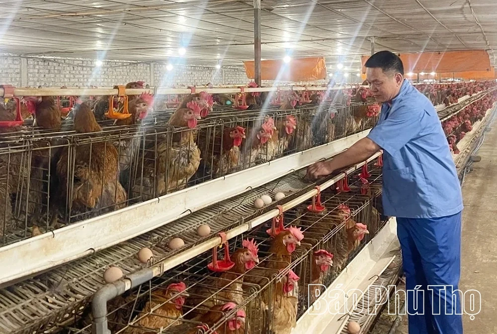 Synchronized Solutions Enhance Agricultural Production Value