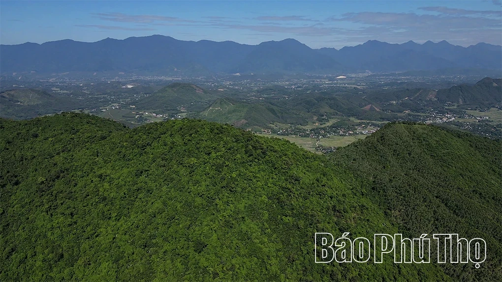 Sang Son Mountain: The Beauty of Spiritual and Eco-Tourism