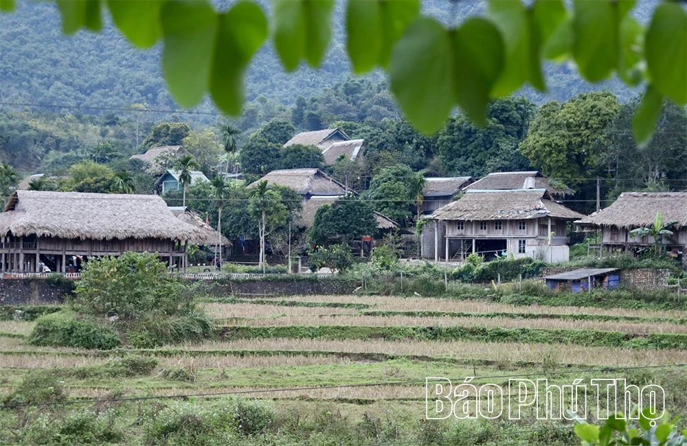 Keeping Alive the Culture of the Muong Ethnic Group