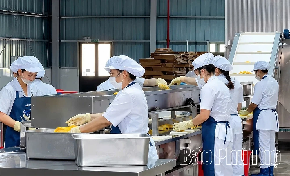 EVFTA Opens Wider Export Opportunities for Phu Tho Businesses