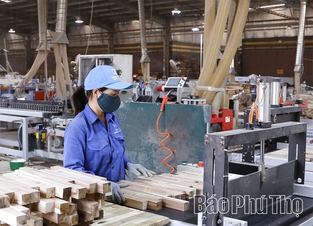EVFTA Opens Wider Export Opportunities for Phu Tho Businesses