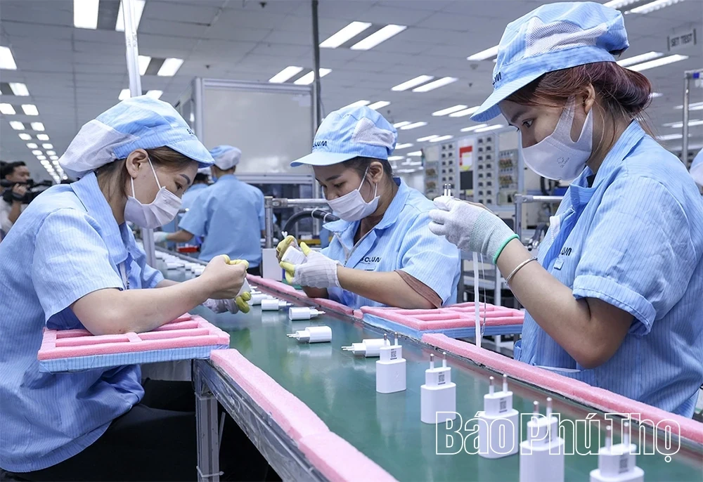 Phu Tho Enterprises Overcome Trade Barriers to Expand Exports