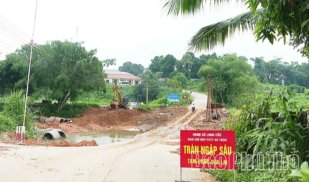 Nearly VND 19.5 Billion Invested in Flood-Resilient Bridge Construction in Long Coc Commune