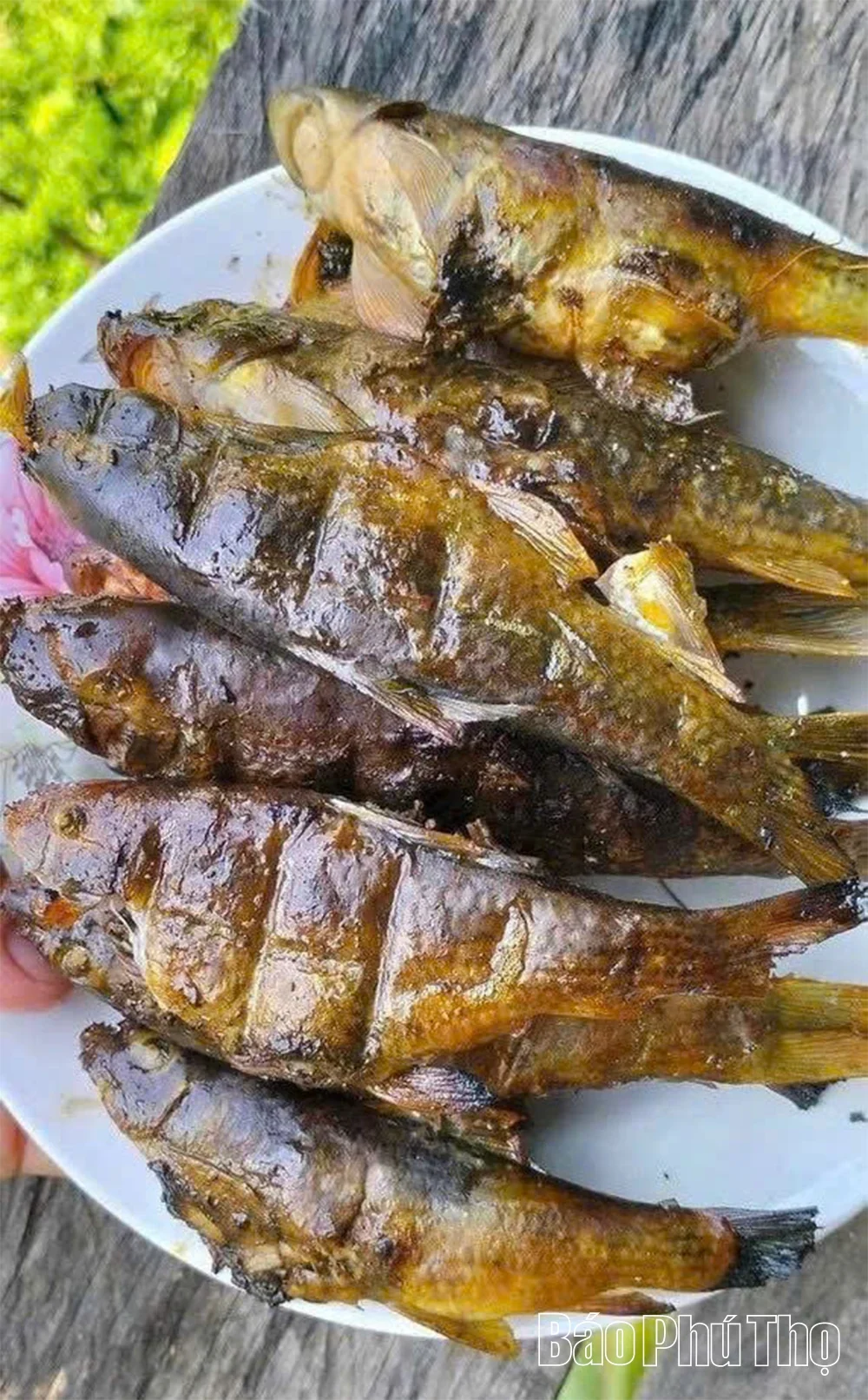Split-Mouth Fish — A Unique Delicacy in Highland Cuisine