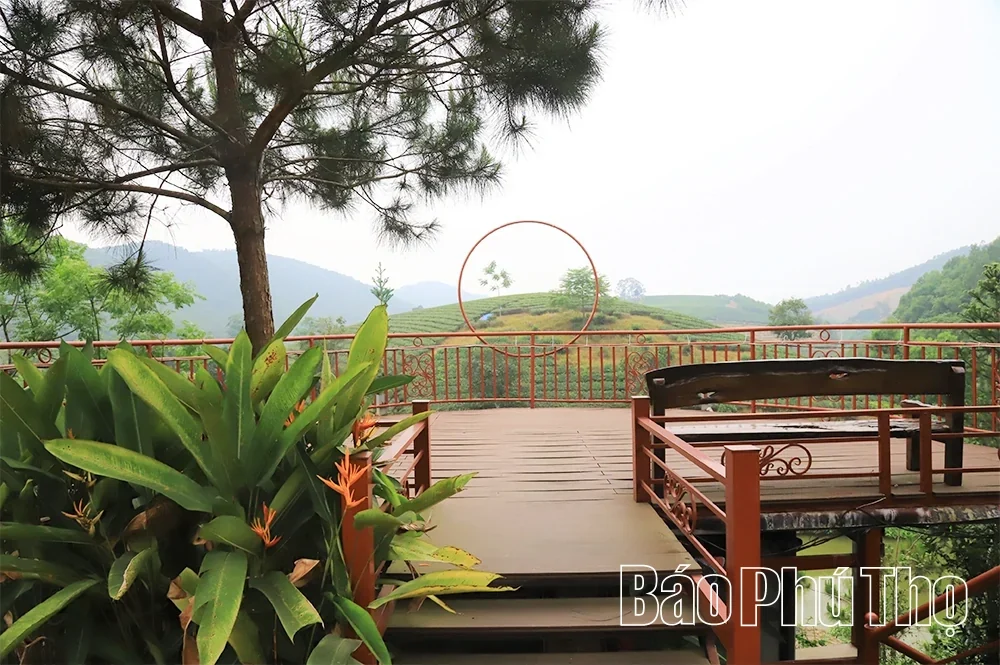 Awakening the Tourism Potential of Thanh Son Land