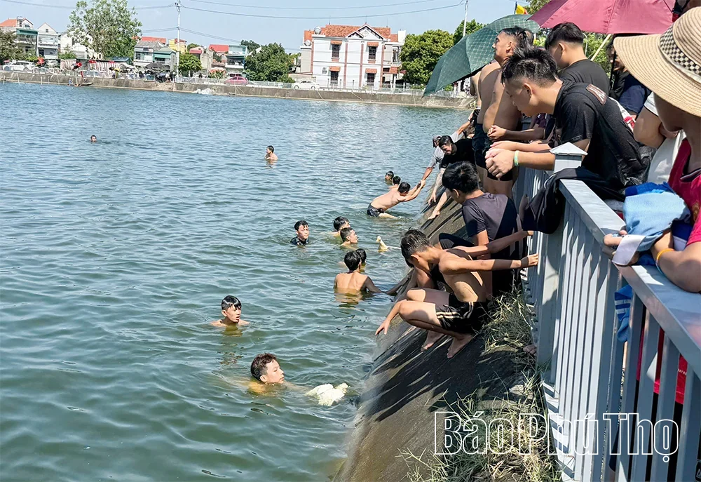 Phung Nguyen Commune: Duck Catching Swimming Game Creates Strong Appeal During September 2 Holiday