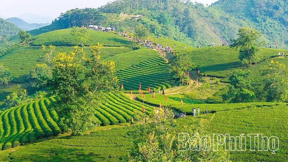 Phu Tho Integrates OCOP Products into the Tourism Value Chain
