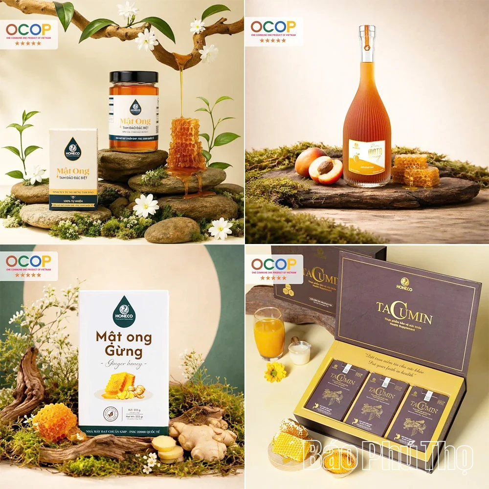 Phu Tho Integrates OCOP Products into the Tourism Value Chain