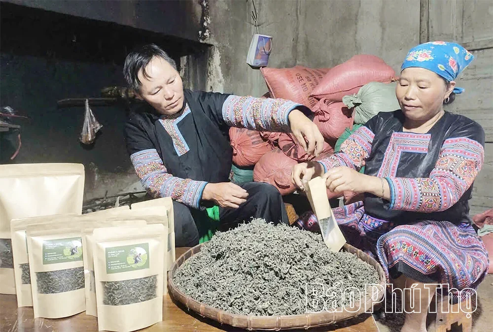 Phu Tho Integrates OCOP Products into the Tourism Value Chain