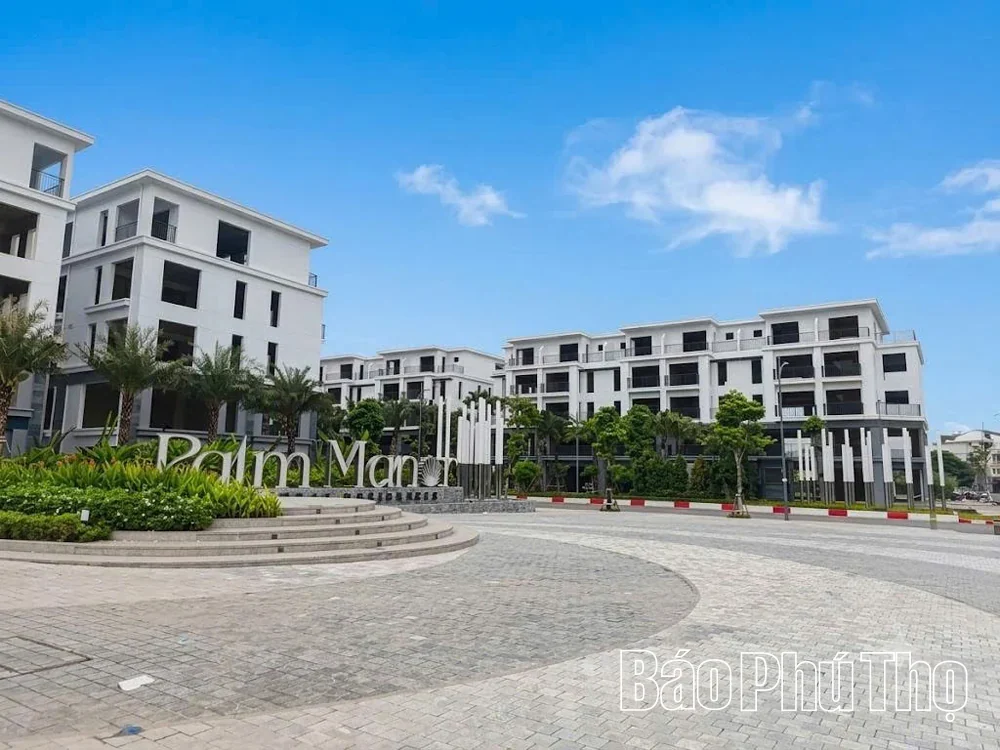Expanding Urban Space and Creating Development Momentum