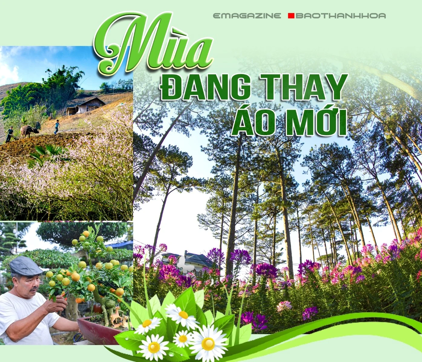 [E-Magazine] - Mùa đang thay áo mới