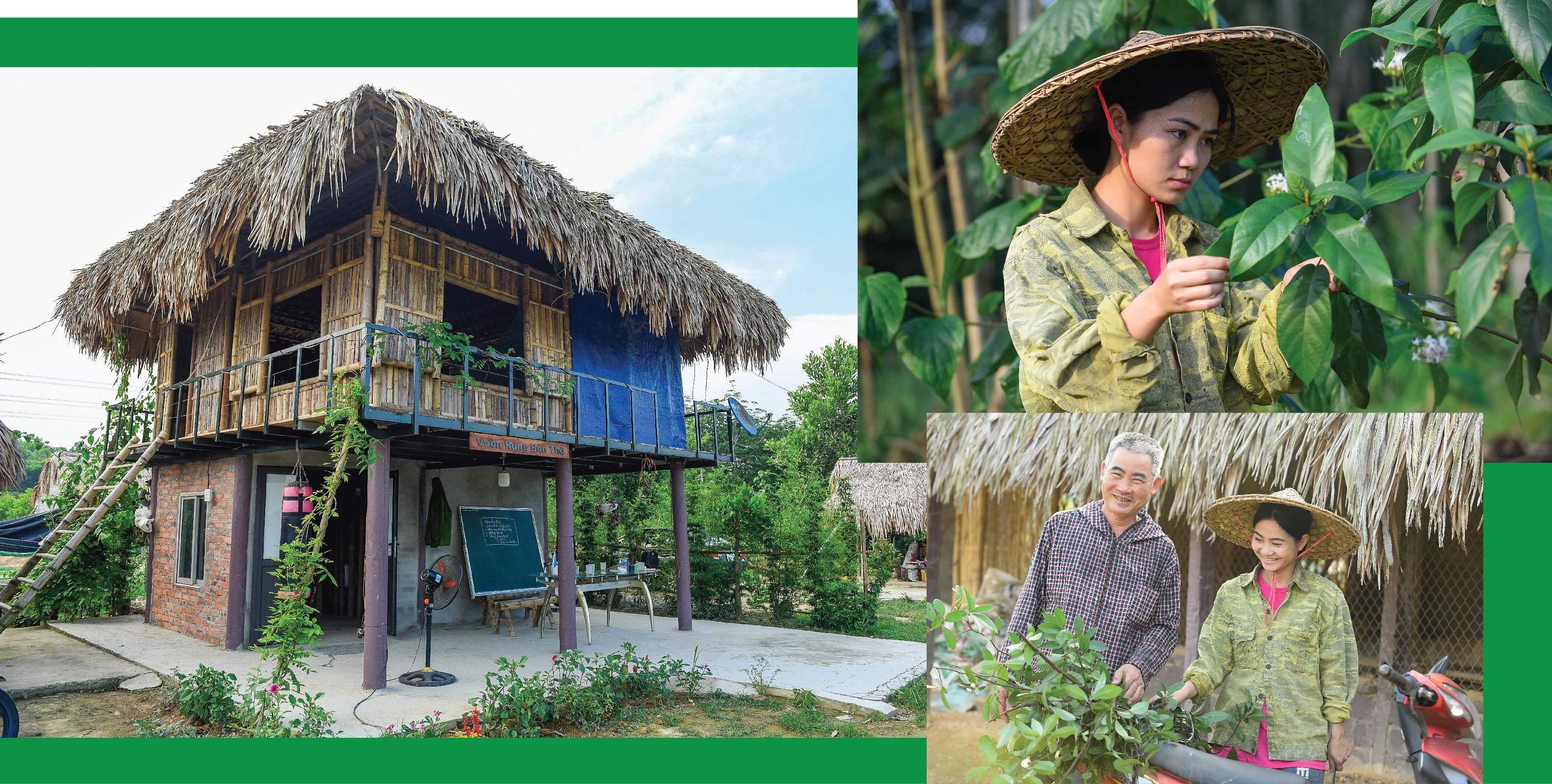 [E-Magazine] - Cô gái dân tộc Thổ và khát vọng hồi sinh những cánh rừng