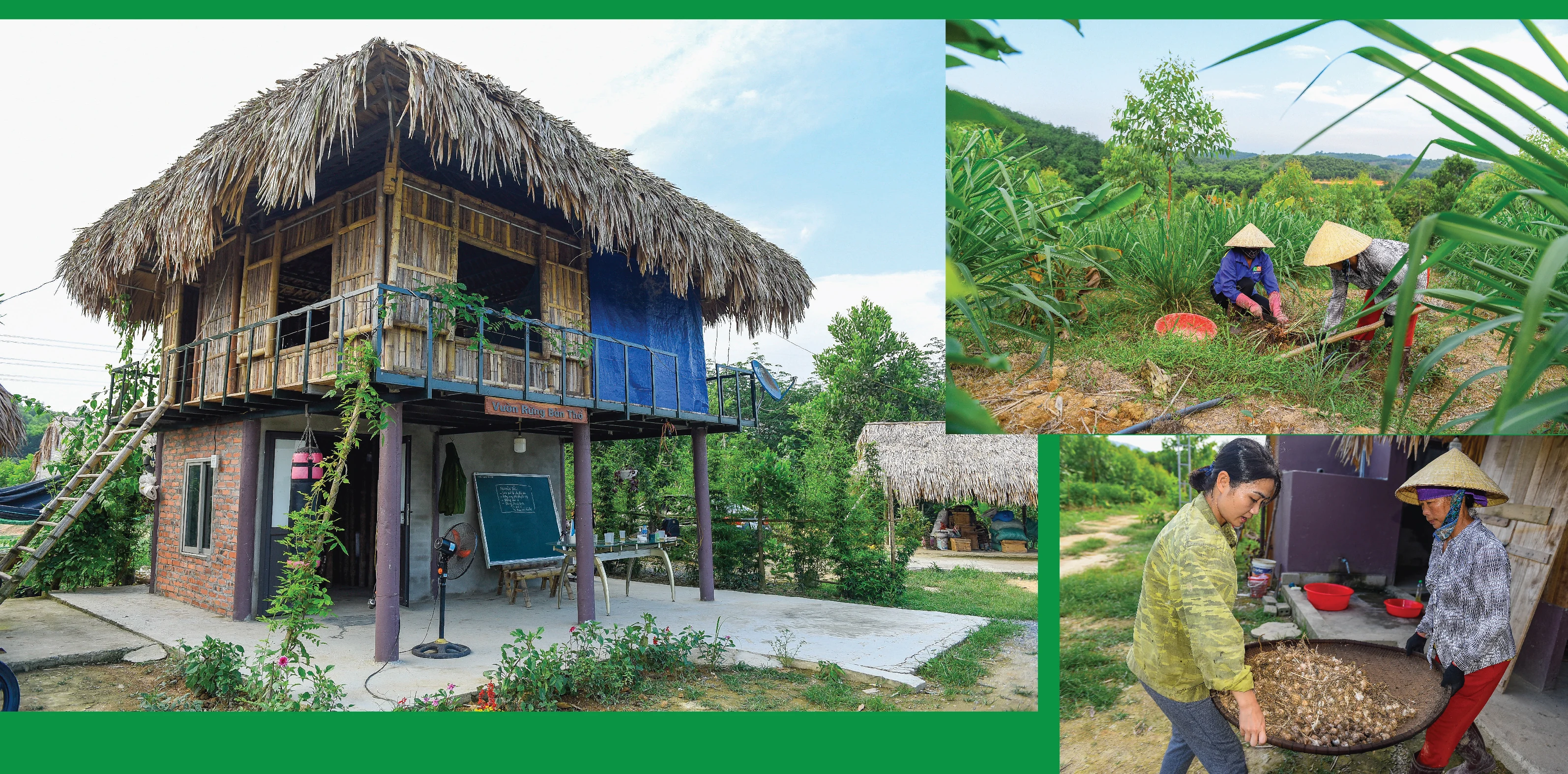 [E-Magazine] - Cô gái dân tộc Thổ và khát vọng hồi sinh những cánh rừng