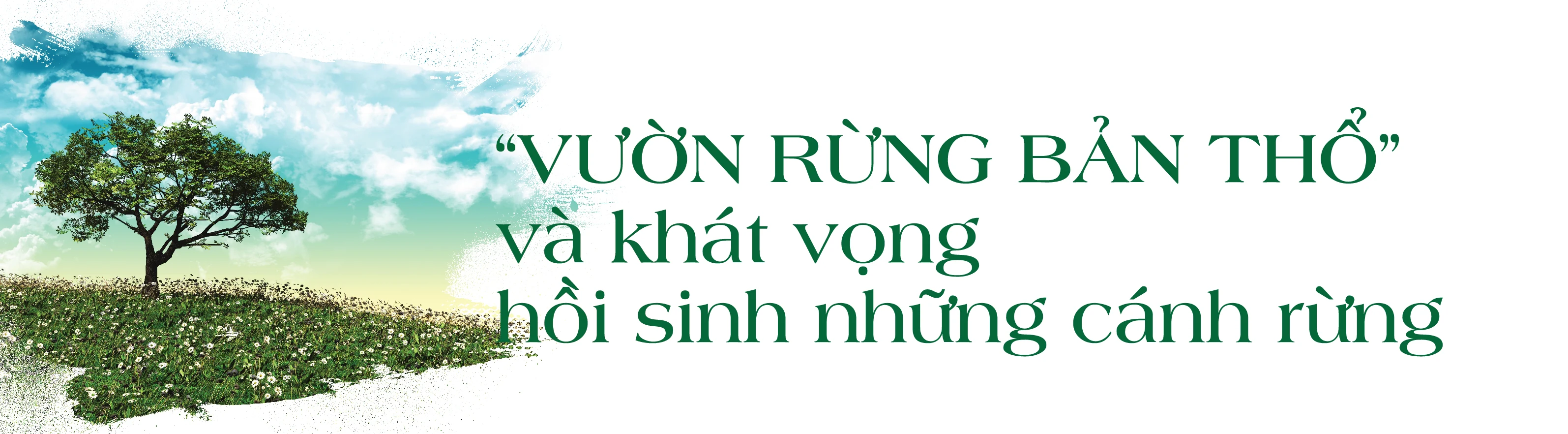 [E-Magazine] - Cô gái dân tộc Thổ và khát vọng hồi sinh những cánh rừng