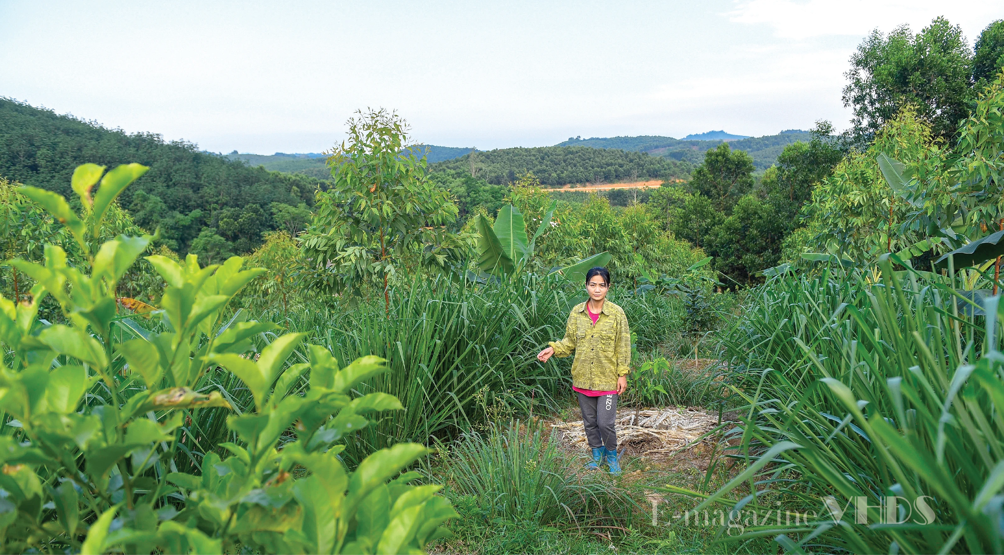 [E-Magazine] - Cô gái dân tộc Thổ và khát vọng hồi sinh những cánh rừng