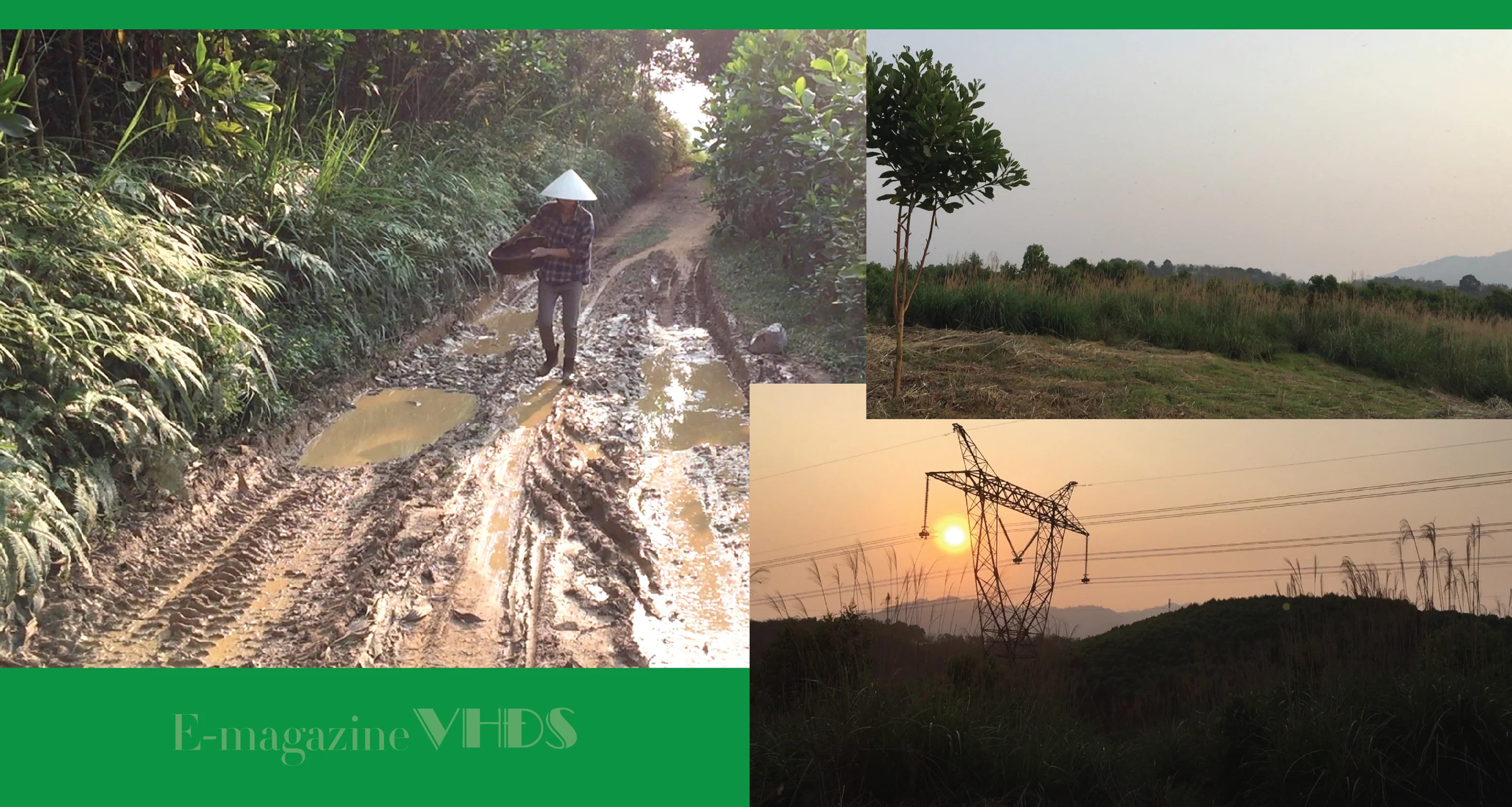 [E-Magazine] - Cô gái dân tộc Thổ và khát vọng hồi sinh những cánh rừng