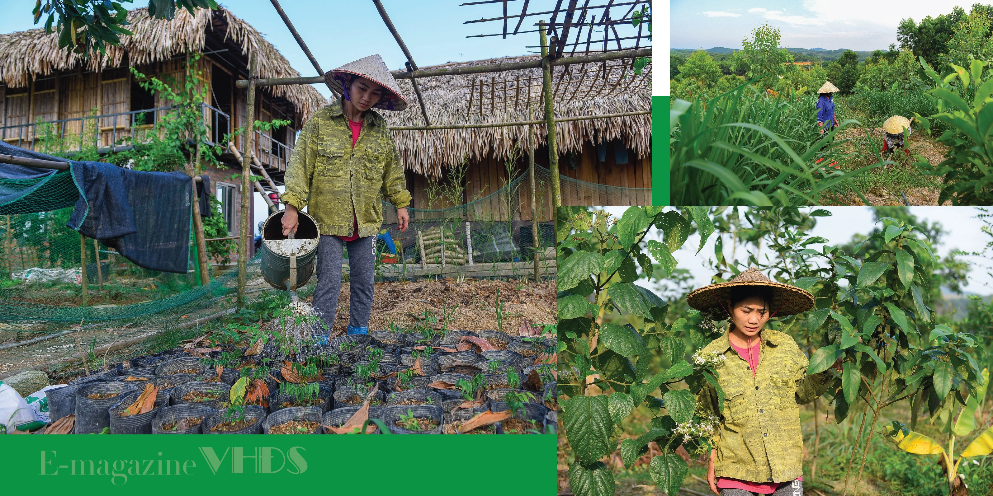 [E-Magazine] - Cô gái dân tộc Thổ và khát vọng hồi sinh những cánh rừng