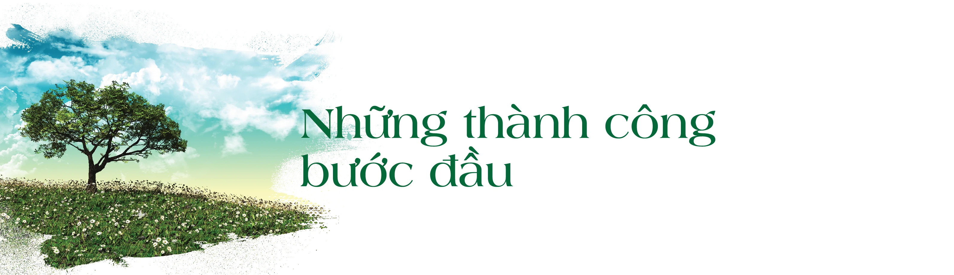 [E-Magazine] - Cô gái dân tộc Thổ và khát vọng hồi sinh những cánh rừng