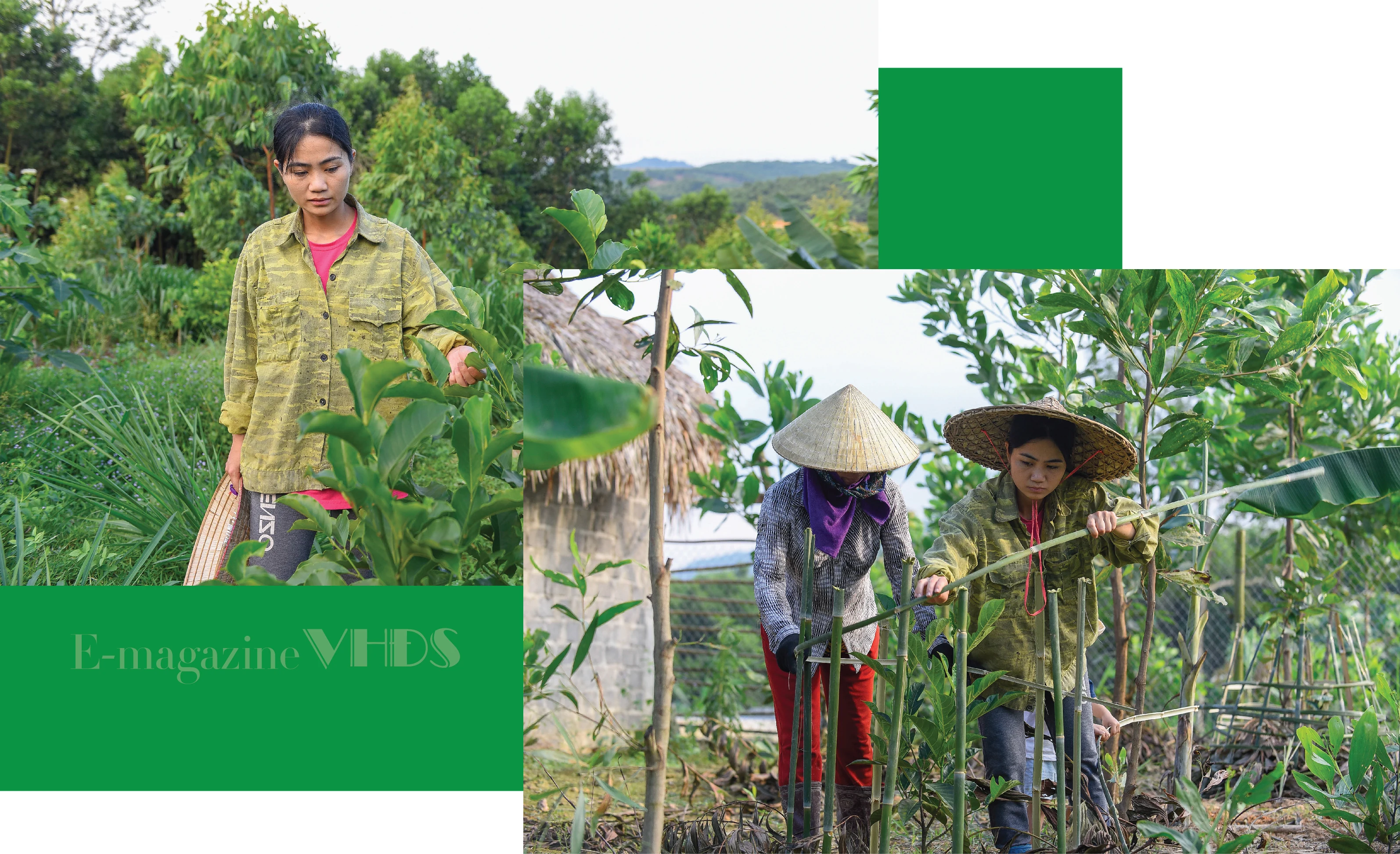 [E-Magazine] - Cô gái dân tộc Thổ và khát vọng hồi sinh những cánh rừng