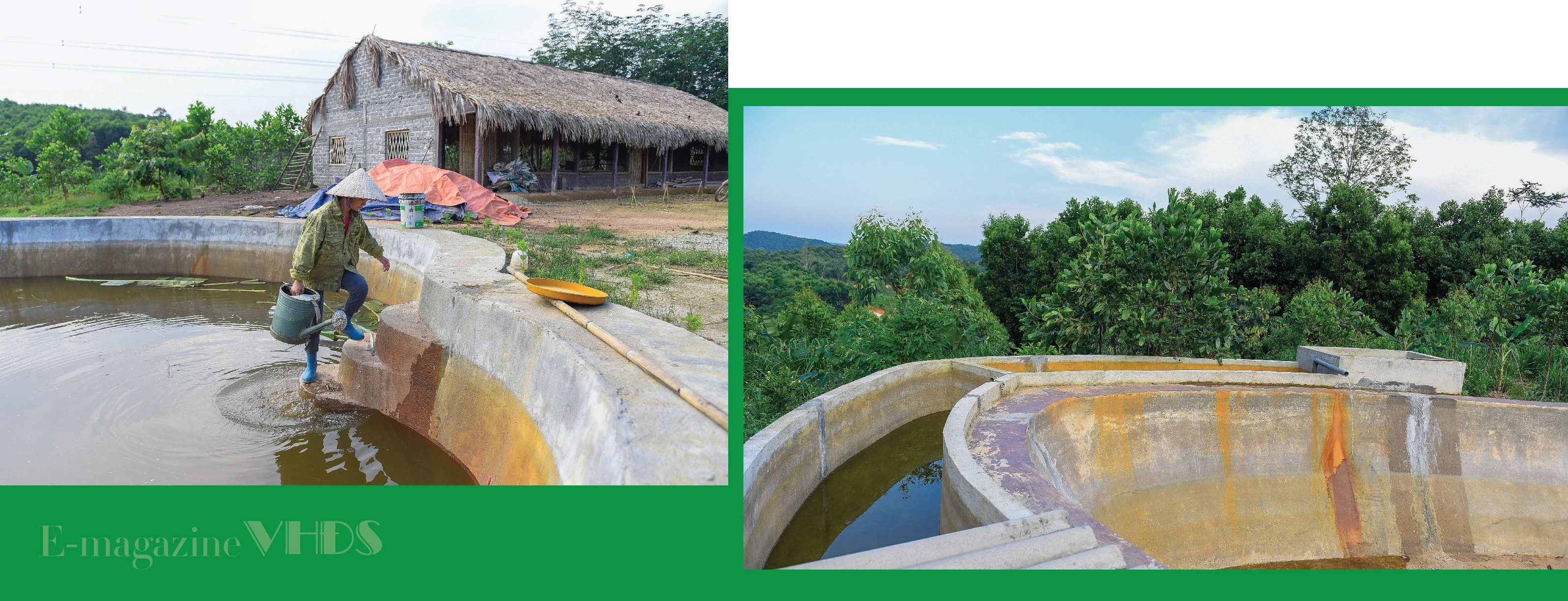 [E-Magazine] - Cô gái dân tộc Thổ và khát vọng hồi sinh những cánh rừng