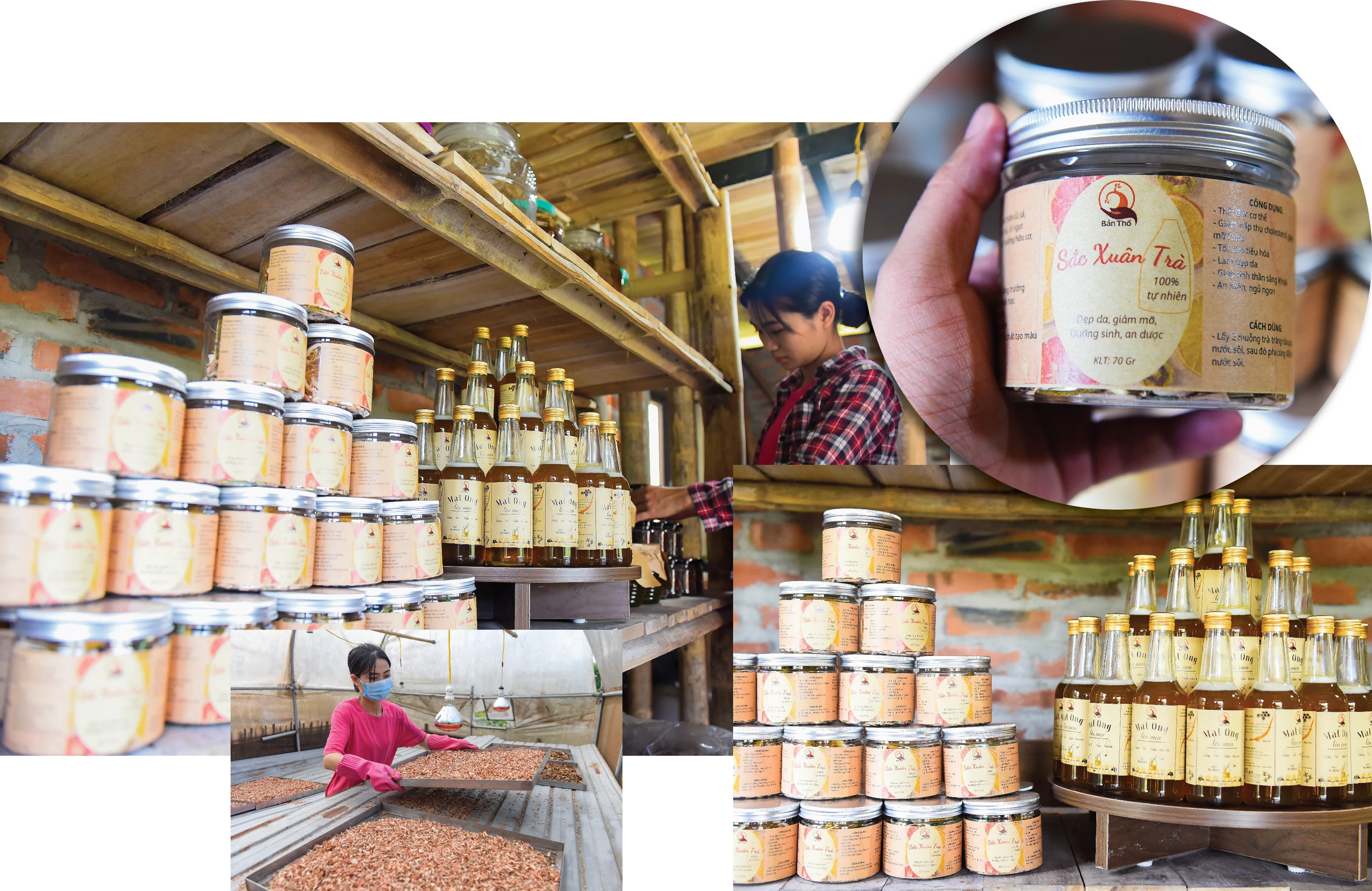 [E-Magazine] - Cô gái dân tộc Thổ và khát vọng hồi sinh những cánh rừng