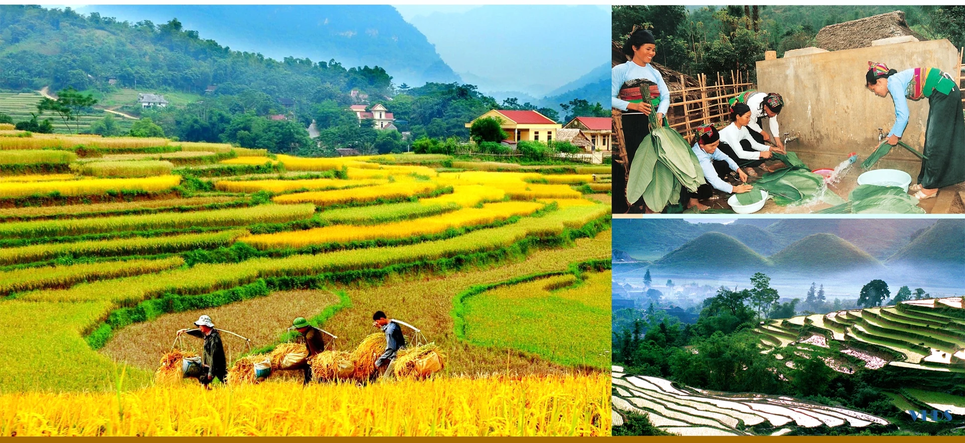 [E-Magazine] - Trần Đàm: Người nghệ sĩ tận hiến hết mình