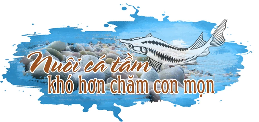 [E-Magazine] - Người đưa cá tầm lên suối Sủa