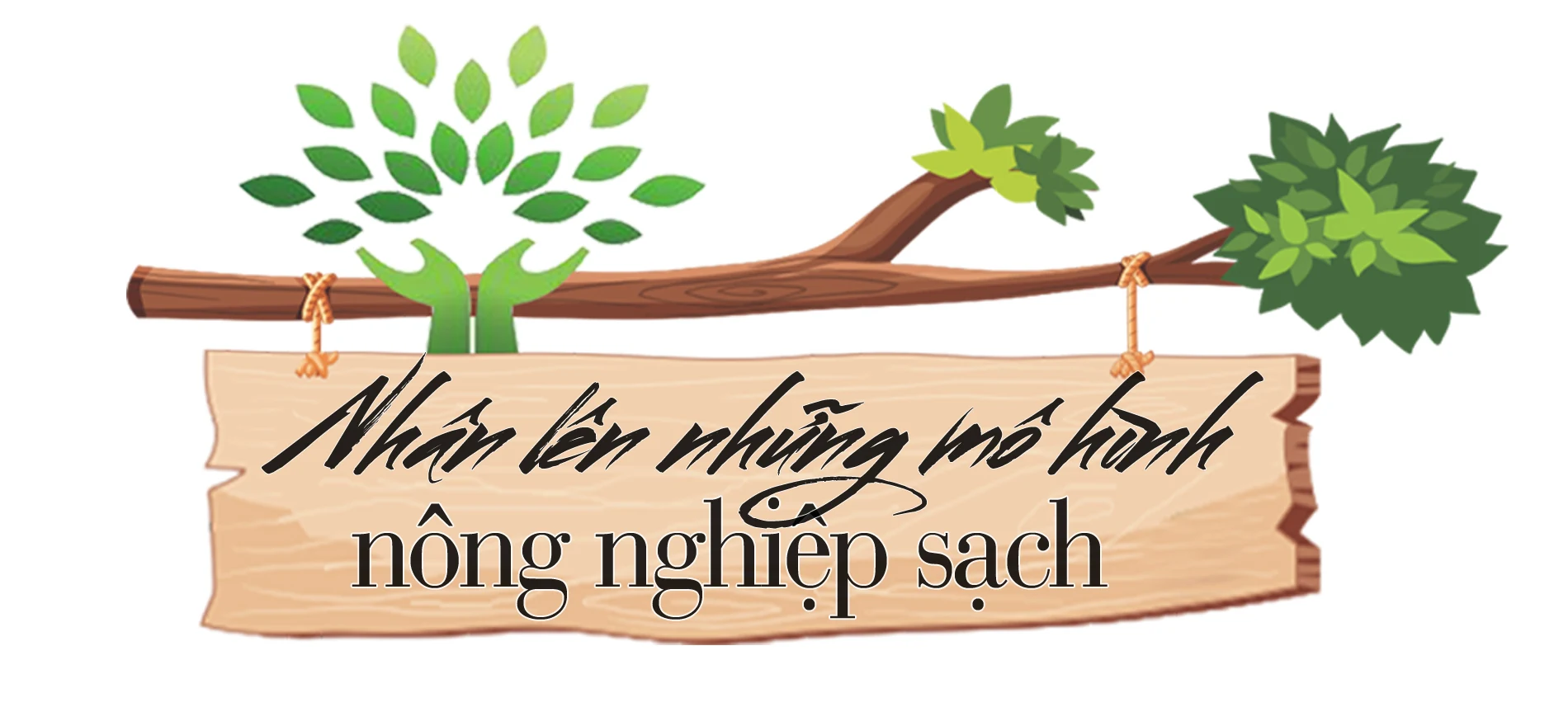 Chàng trai người Mường với giấc mơ phát triển nông nghiệp sạch