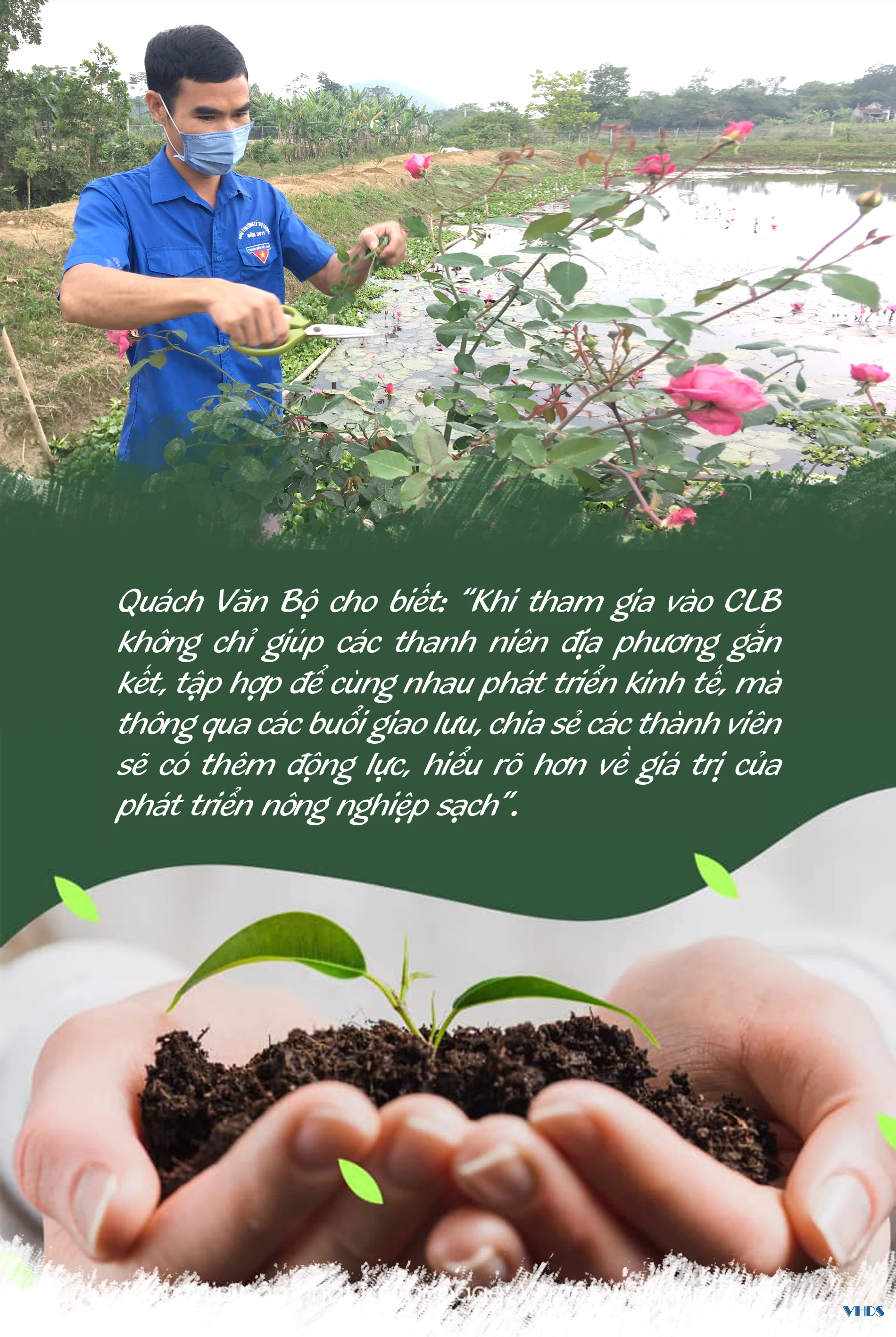 Chàng trai người Mường với giấc mơ phát triển nông nghiệp sạch