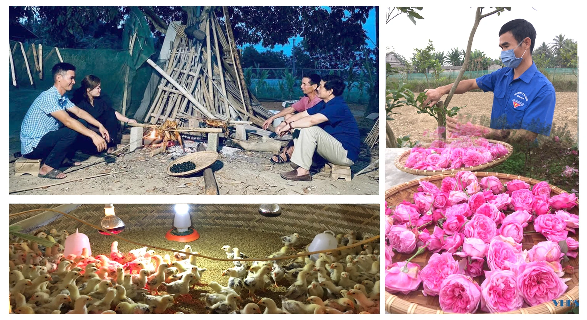 Chàng trai người Mường với giấc mơ phát triển nông nghiệp sạch