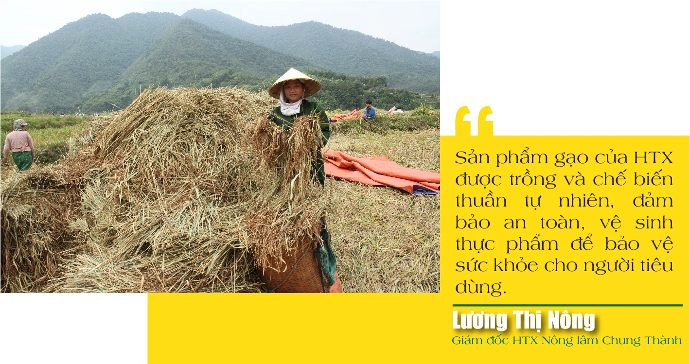 [E-Magazine] - Nếp Cay Nọi xuống phố