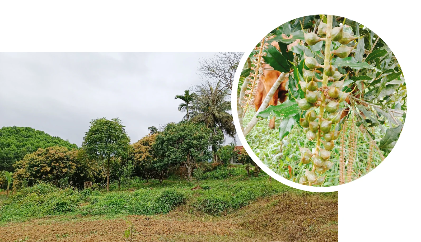 [E-Magazine] - Nếu không có đam mê, ở đó không có thành công…