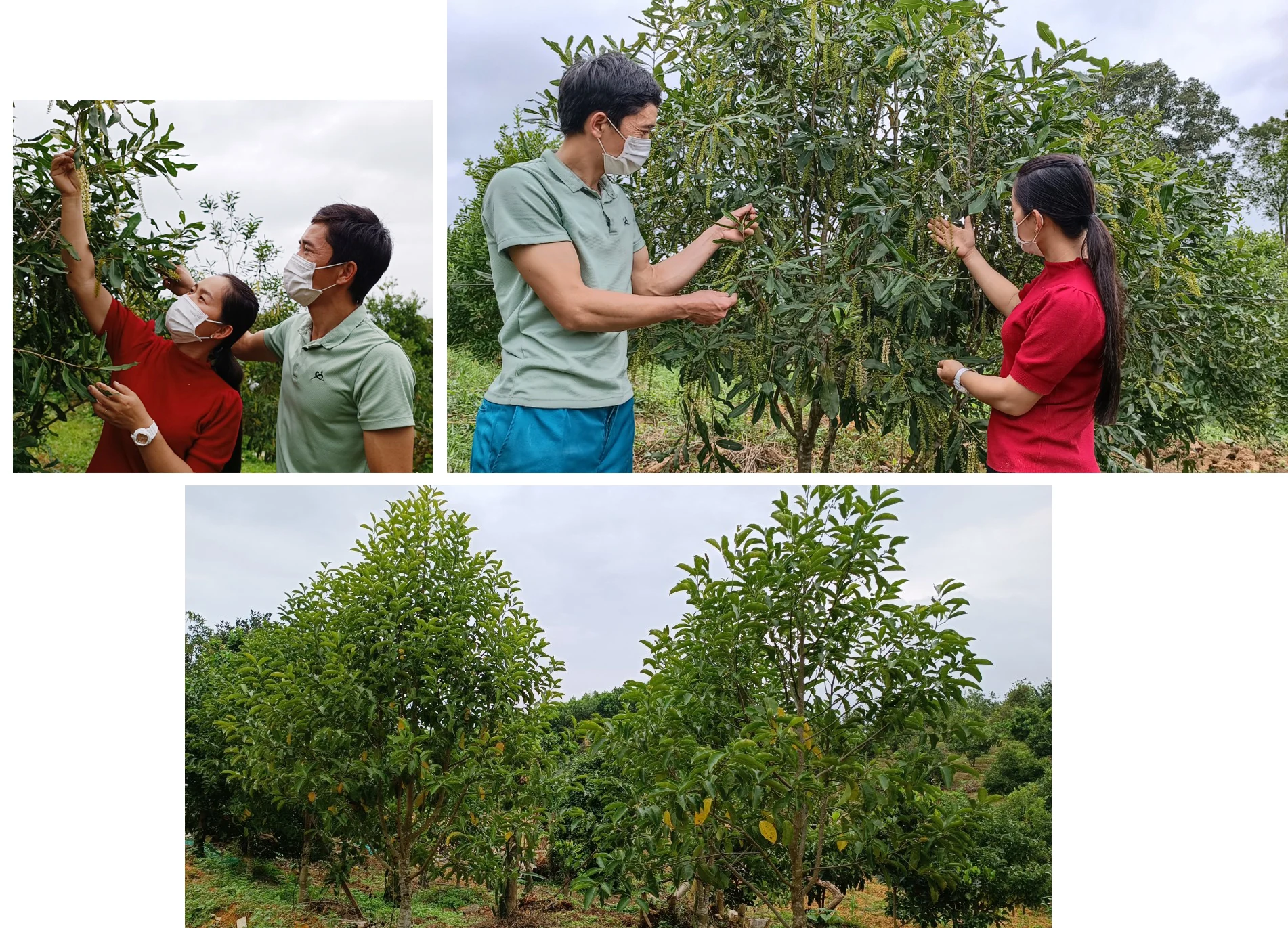 [E-Magazine] - Nếu không có đam mê, ở đó không có thành công…
