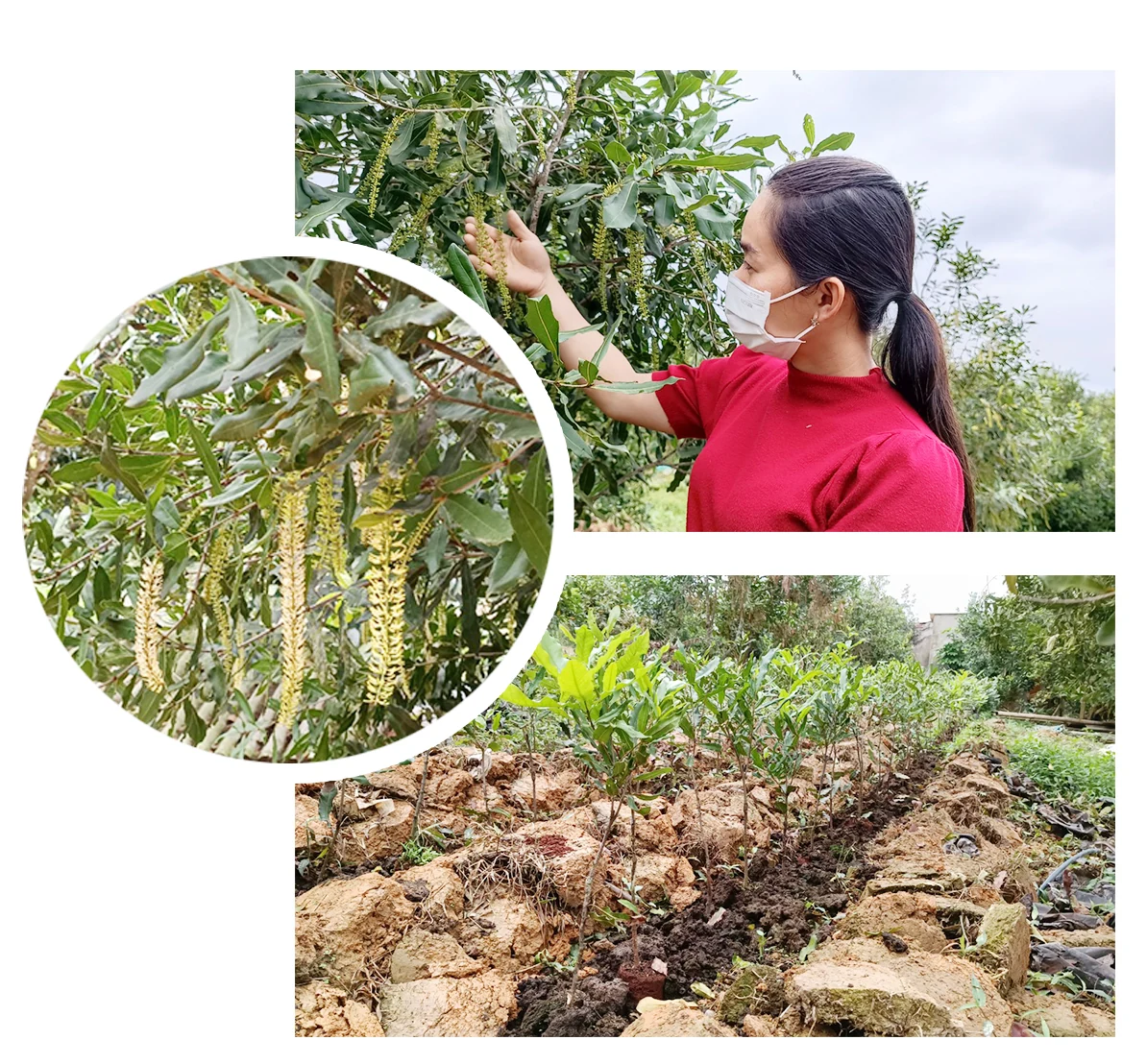 [E-Magazine] - Nếu không có đam mê, ở đó không có thành công…